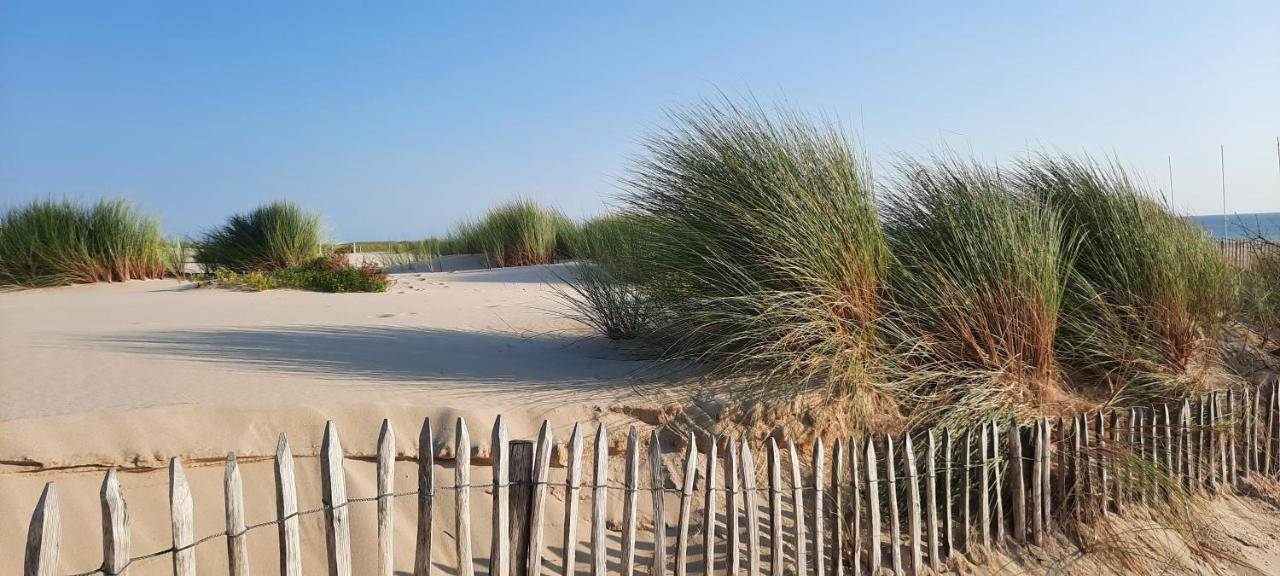 Maison Sur Le Bassin D'Arcachon 라테스트드뷔크 외부 사진